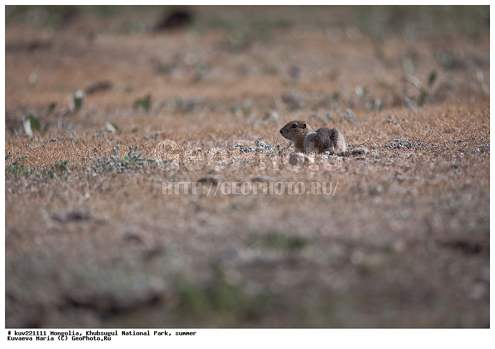 ��������, �������������, ������������ ����, ����, ����, �������� �������������, ���������������� �����, �����, ����� ��������, ��������, �����, ������, �������, ������� , �������� ����