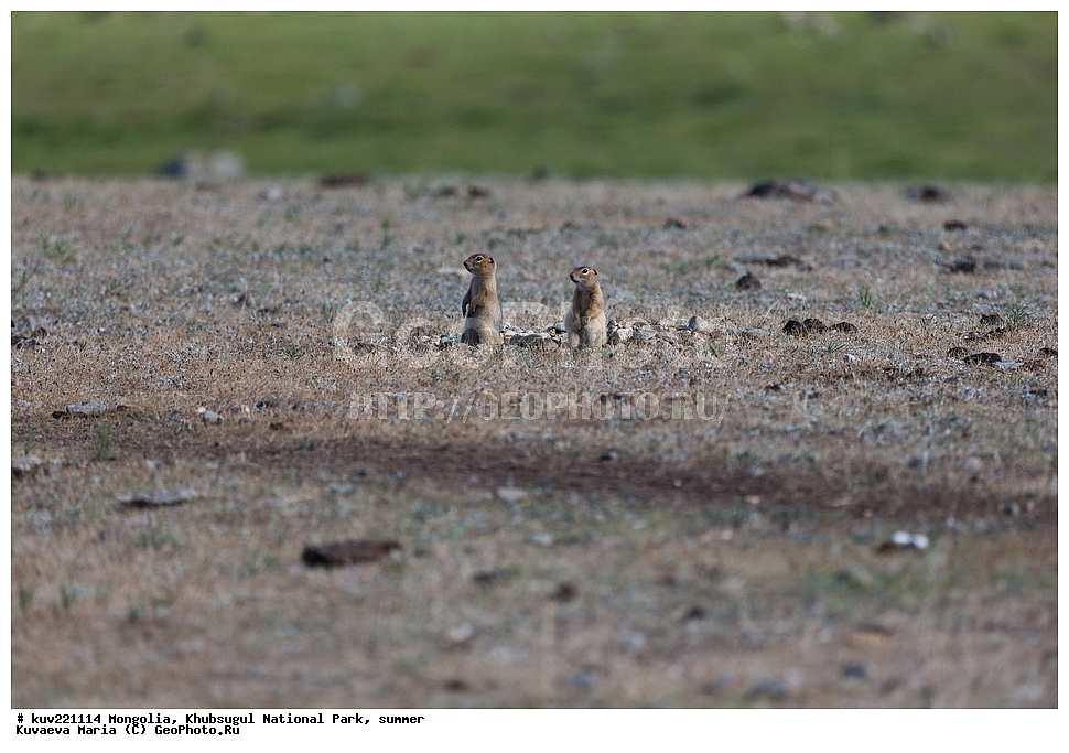 ��������, �������������, ������������ ����, ����, ����, �������� �������������, ���������������� �����, ��������, �����, ������, �������, ����� �������, �������� ����