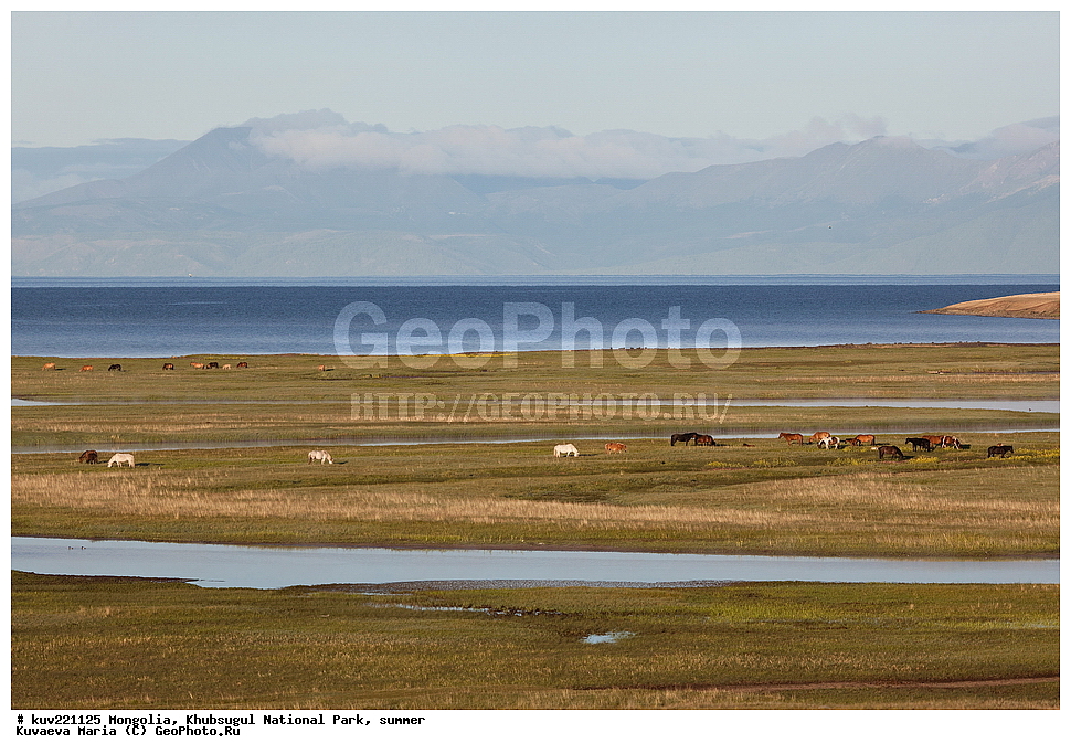 ��������, �������������, ������������ ����, ����, ����, �������� �������������, ������, �����-������, ����, �����, �������, ����� ��������, ����, ������, �����, ���� ����, ������, �����, ������, �������� ���, ����, ����������� ������, ������, ������������, ����, ������� , �������� ����, �ө���ө�