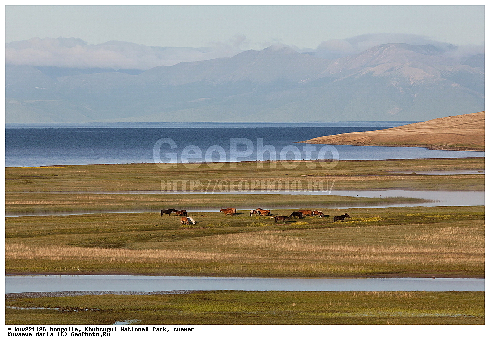  ��������, �������������, ������������ ����, ����, ����, �������� �������������, ������, �����-������, ����, �����, �������, ����� ��������, ����, ������, �����, ���� ����, ������, �����, ������, �������� ���, ����, ������, ������, ������������, ����, ������� , �������� ����, �ө���ө�