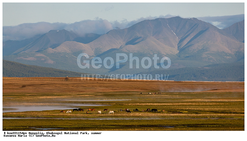 ��������, �������������, ������������ ����, ����, ����, �������� �������������, ������, �����-������, ����, ��������� �����, �������, �������, ����, ������������, ������, ���� ����, �����, ����������� ������, ������� ������, ���������������� �����, �����������, �������� ��������, �����, ��������, �����, ��������, ����� � ���� , �������� ����, �ө�� �������