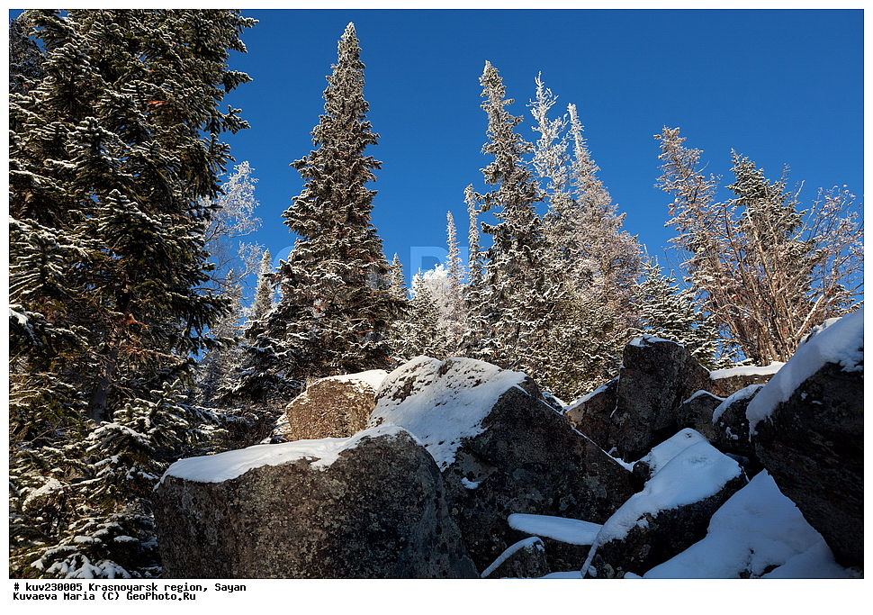 ������������ ����, �����, ����, �����, ������, ������, ������� ����, ����� �������, ������, �������� ������������, ����, �������, �������, ������ ������, ������, ������, ��������, ������, ������, ���������, ����������, ����, ���, �������, ��������, �����, �����, ������ �����, ������� ������, �������� ������, ����, �������, �������, �������, ����, ����, ��������� ����������� �����, ���