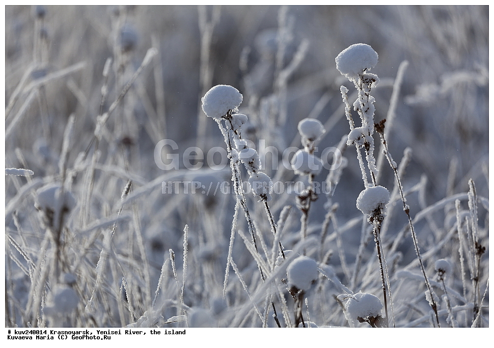 ������������ ����, ����, ������, ������ �������, ����, ������, ���������, ��������� ����, �������, �������, �����, �����, ��������, ���, ����, ������, ������, ������� ����, ����, ��������� ����������� �����, ���