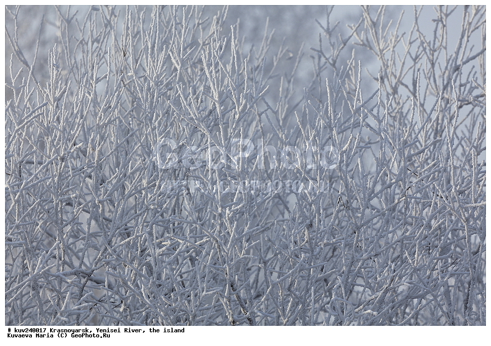 ������������ ����, ����, ������, ������ �������, ����, ������, ���������, �������, �������, �����, ���� �� ��������, ������, �������, �����, �����, ����, ������, ������, ������� ����, ����, ��������� ����������� �����, ���