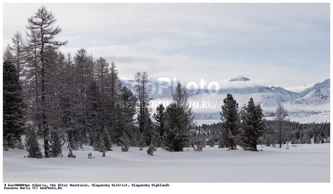 ������, ������ �����, ���������� �����, ���������� �������, �������, ������, ����, ������, ������ �����, ����, ������, ����, ������ ������, ����, �������, ���������� �����, ������, ������ ������, ������� �����, �����������, �����, ������� ����, ������, ��������, �����, ����� ������, ����� ���������, ��������� ������, �����, �������, ��������� ����������� �����, ���