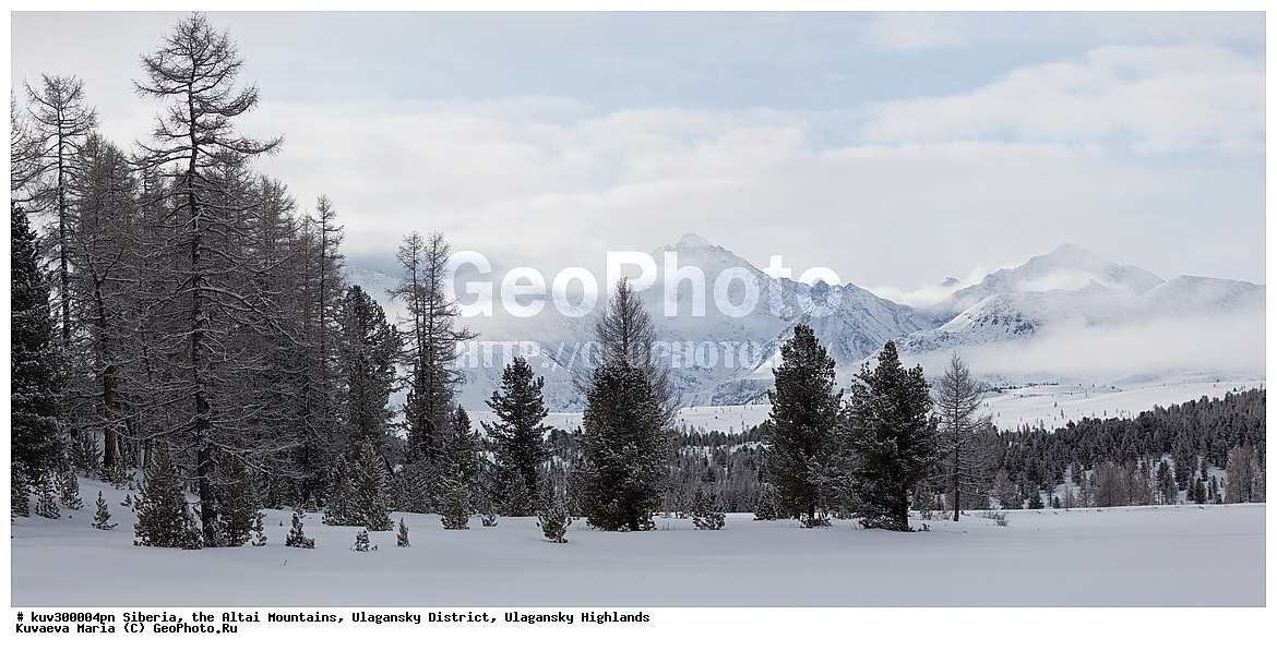 ������, ������ �����, ���������� �����, ���������� �������, �������, ������, ����, ������, ������ �����, ����, ������, ����, ������ ������, ����, �������, ���������� �����, ������, ������ ������, ������� �����, �����������, �����, ������� ����, ������, ��������� ������, �����, �������, ��������, ����� ������, ����� ���������, ��������� ����������� �����, ���