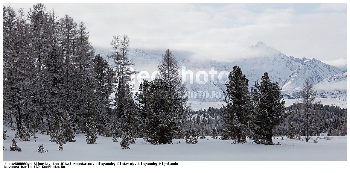 ������, ������ �����, ���������� �����, ���������� �������, �������, ������, ����, ������, ������ �����, ����, ������, ����, ������ ������, ����, �������, ���������� �����, ������, ������ ������, ������� �����, �����������, �����, ������� ����, ������, ��������� ������, �����, �������, �����, ����� ������, ����� ���������, ��������� ����������� �����, ���