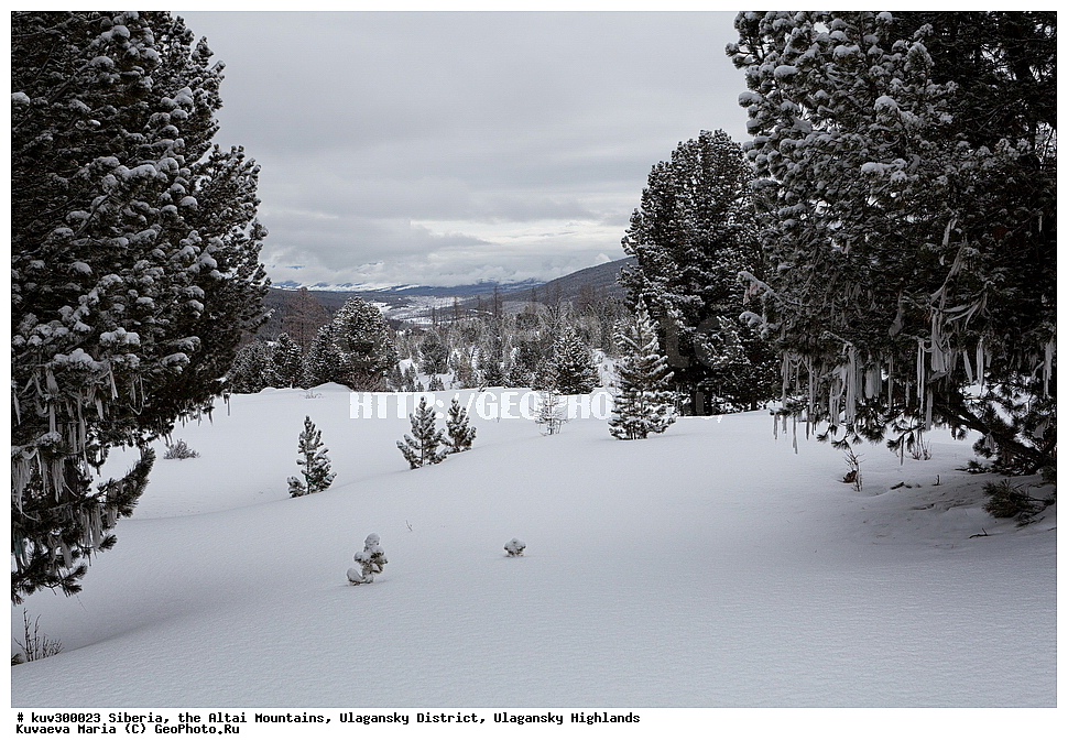 ������, ������ �����, ���������� �����, ���������� �������, �������, ������, ����, ������, ������ �����, ����, ������, ����, ������ ������, ����, �������, ���������� �����, ������, ������ ������, ������� �����, �����������, �����, ������� ����, ������, ���������� �������, ����, �����, �����, �������, �������, ����������, ���������� �����, ����� ����, ����� ����, �������, ����� ����������, ��������� ����������� �����, ���