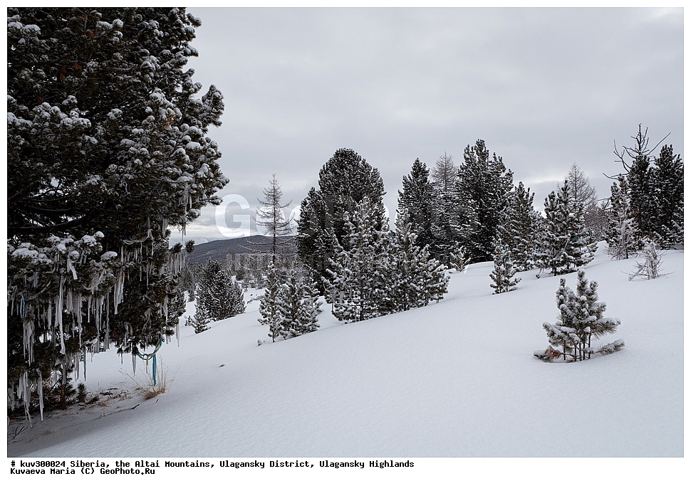 ������, ������ �����, ���������� �����, ���������� �������, �������, ������, ����, ������, ������ �����, ����, ������, ����, ������ ������, ����, �������, ���������� �����, ������, ������ ������, ������� �����, �����������, �����, ������� ����, ������, ���������� �������, ����, �����, �����, �������, �������, ����������, ���������� �����, ����� ����, ����� ����, �������, ����� ����������, ��������� ����������� �����, ���