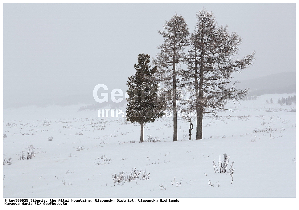 ������, ������ �����, ���������� �����, ���������� �������, �������, ������, ����, ������, ������ �����, ����, ������, ����, ������ ������, ����, �������, ���������� �����, ������, ������ ������, ������� �����, �����������, �����, ������� ����, ������, ���������� �����, ��������, ����� ��������, ��������� ����������� �����, ���