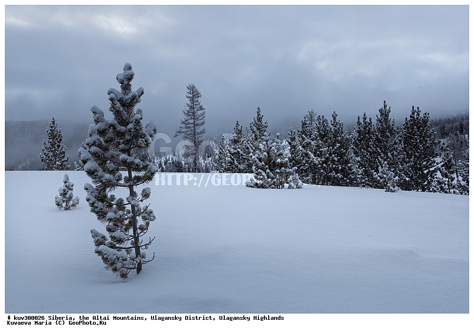 ������, ������ �����, ���������� �����, ���������� �������, �������, ������, ����, ������, ������ �����, ����, ������, ����, ������ ������, ����, �������, ���������� �����, ������, ������ ������, ������� �����, �����������, �����, ������� ����, ������, ���������� �������, �������, �����, ��������� ����������� �����, ���