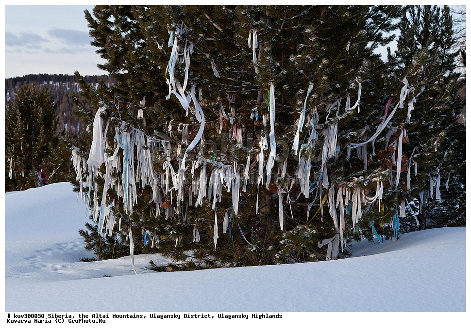 ������, ������ �����, ���������� �����, ���������� �������, �������, ������, ����, ������, ������ �����, ����, ������, ����, ������ ������, ����, �������, ���������� �����, ������, ������ ������, ������� �����, �����������, �����, ������� ����, ������, ���������� �������, ����, �����, �����, �������, �������, ����������, ���������� �����, ����� ����, ����� ����, �������, ��������� ����������� �����, ���