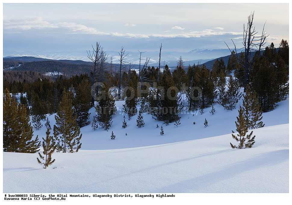 ������, ������ �����, ���������� �����, ���������� �������, �������, ������, ����, ������, ������ �����, ����, ������, ����, ������ ������, ����, �������, ���������� �����, ������, ������ ������, ������� �����, �����������, �����, ������� ����, ������, ���������� �������, ����, �����, �����, �������, �������, ����������, ���������� �����, ����� ����, ����� ����, �������, ��������� ����������� �����, ���