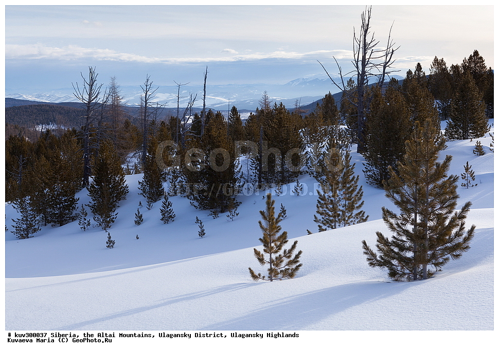 ������, ������ �����, ���������� �����, ���������� �������, �������, ������, ����, ������, ������ �����, ����, ������, ����, ������ ������, ����, �������, ���������� �����, ������, ������ ������, ������� �����, �����������, �����, ������� ����, ������, ���������� �������, ����, �����, �����, �������, �������, ����������, ���������� �����, ����� ����, ����� ����, �������, ��������� ����������� �����, ���