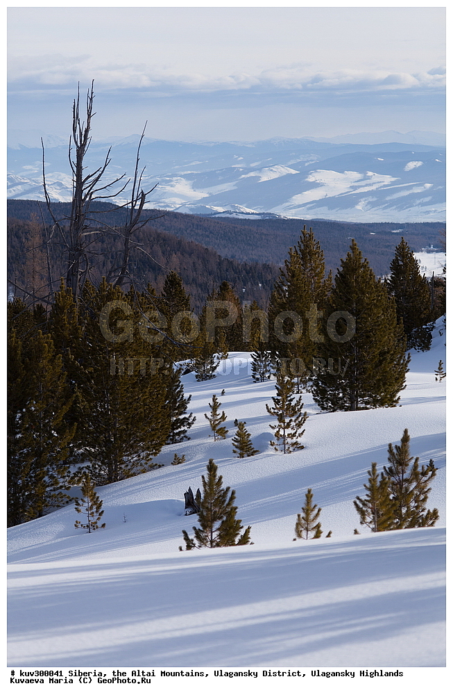 ������, ������ �����, ���������� �����, ���������� �������, �������, ������, ����, ������, ������ �����, ����, ������, ����, ������ ������, ����, �������, ���������� �����, ������, ������ ������, ������� �����, �����������, �����, ������� ����, ������, ���������� �������, ����, �����, �����, �������, �������, ����������, ���������� �����, ����� ����, ����� ����, �������, ������������, ��������� ����������� �����, ���