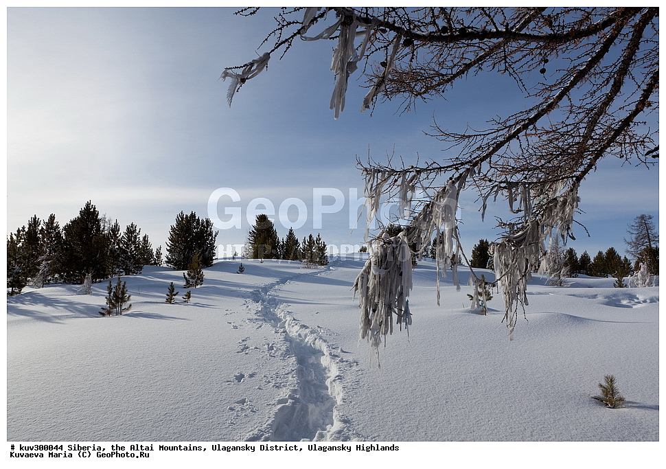 ������, ������ �����, ���������� �����, ���������� �������, �������, ������, ����, ������, ������ �����, ����, ������, ����, ������ ������, ����, �������, ���������� �����, ������, ������ ������, ������� �����, �����������, �����, ������� ����, ������, ���������� �������, ����, �����, �����, �������, �������, ����������, ���������� �����, ����� ����, ����� ����, �������, ����� ����������, �����, ��������� ����������� �����, ���