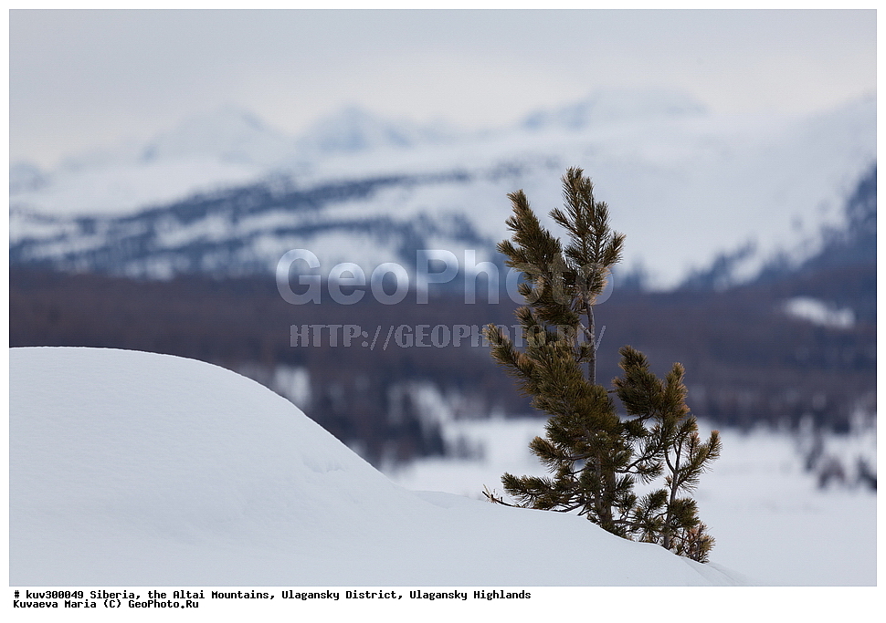 ������, ������ �����, ���������� �����, ���������� �������, �������, ������, ����, ������, ������ �����, ����, ������, ����, ������ ������, ����, �������, ���������� �����, ������, ������ ������, ������� �����, �����������, �����, ������� ����, ������, ��������� ����������� �����, ���