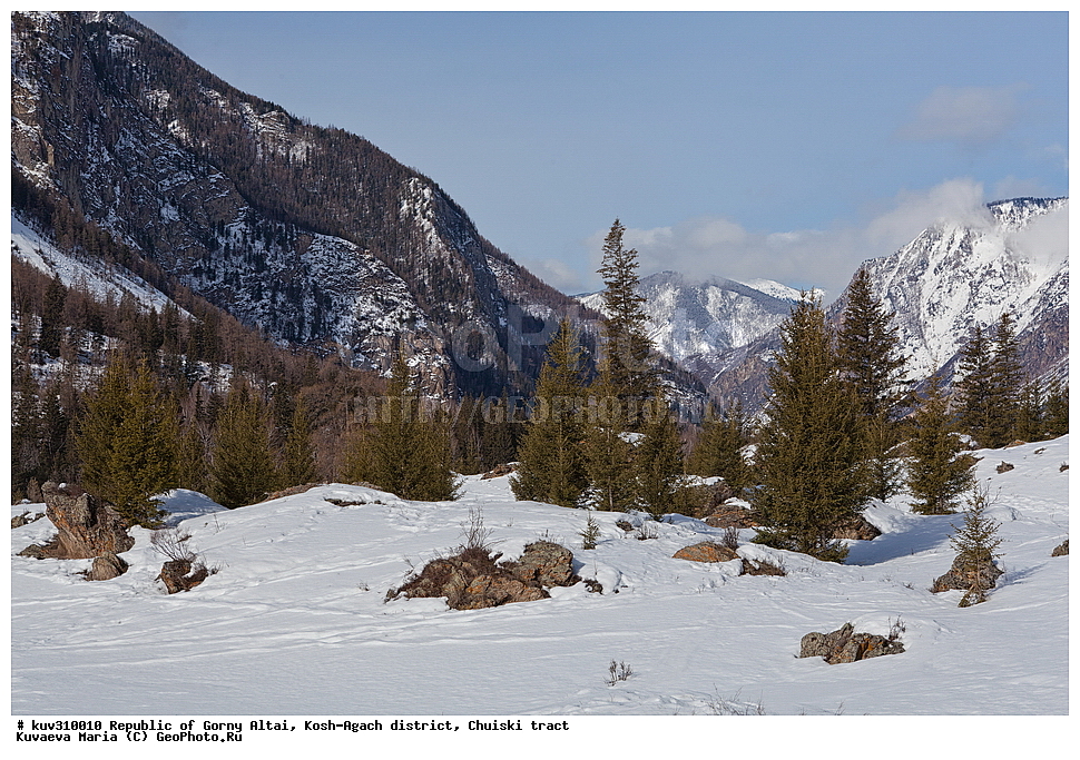 ����������, ������ �����, ������� �����, �����, ������, ����, ������ �����, �����, ������� �����, ������� �����, ������� ������, ������, �����������, ����, ������, ������� ����, ��������, �������, ��������, ���������, �����, ��������� ����������� �����, ���