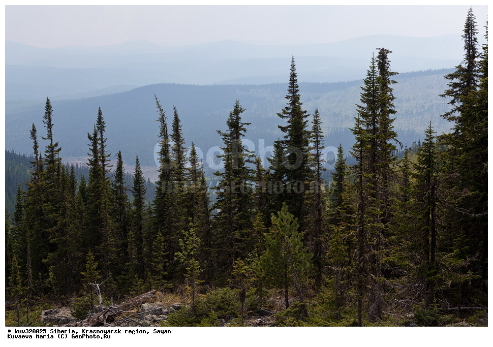 ������, ������������ ����, �����, ����, ������, ������, ��������� �����, ������� ������, ���������, ����, ������, ����, ������, ������� ����, ���������, ���� ��� ���������, ��������, �����, �������, �����, ������� �����, ���� ��������, �������, ��� � ������, ��� � �������, ������������, ����, ��������� �����������, �����, ���, ��������� ����������� �����, ���