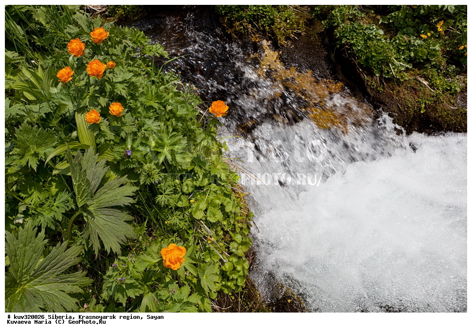 ������, ������������ ����, �����, ����, ������, ������, ��������� �����, ������� ������, ���������, ����, ������, ����, ������, ������� ����, ���������, ���� ��� ���������, ���� ����� �����, ������� �����, �����, ��������, ������� �����, ����� ������, �����, ��������� ����������� �����, ���