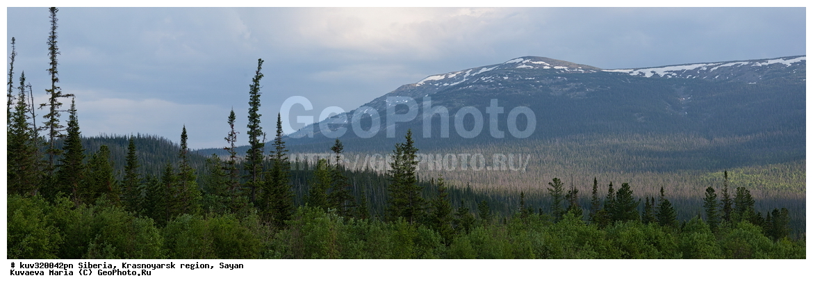 ������, ������������ ����, �����, ����, ������, ������, ��������� �����, ������� ������, ���������, ����, ������, ����, ������, ������� ����, ���������, ���� ��� ���������, ������� �����, ���� ��������, �����, �����, ����� ������, ��������, �����, ��������, ��������� ����������� �����, ���