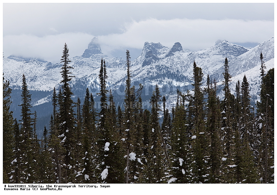 ������, ������������ ����, �����, ����������� �����, ��������� ���� ������, ����, �������, ������, ������� ����, �����������, ���������, �������, ������, ������ ������, ������, �����, ���������� �������, �������, ��������, ���������, ��������, ������, �������, ����, �������, �������� �����, ���� ��� ���������, ���������