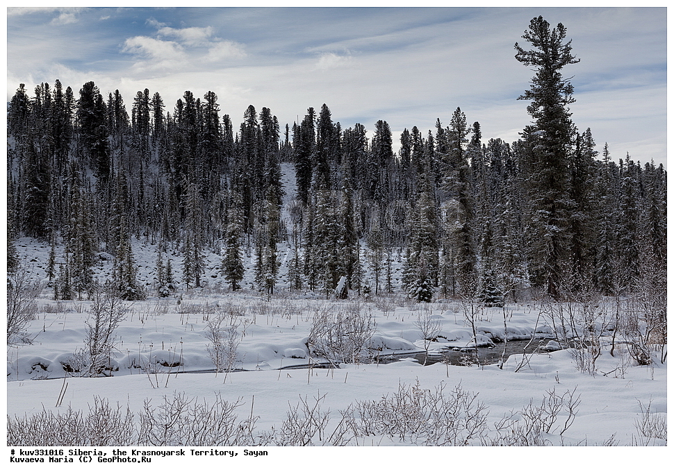 ������, ������������ ����, �����, ����������� �����, ��������� ���� ������, ����, �������, ������, ������� ����, �����������, ���������, �������, ������, ������ ������, ������, �����, ���� �����, ������, ����, �������, ����, �������, ����, ������