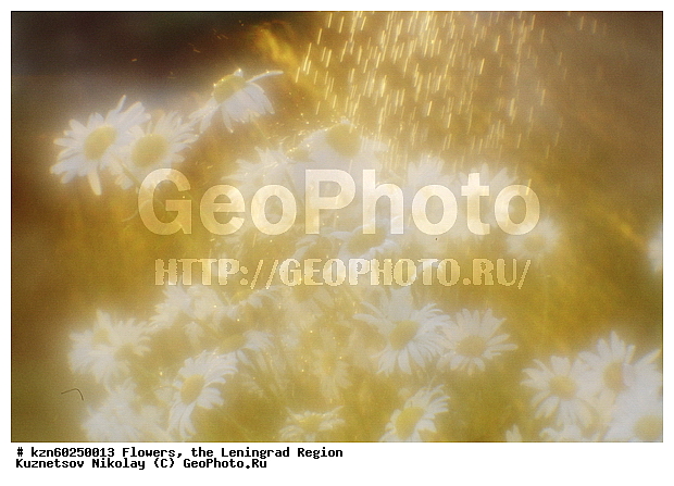 ������������� �������, ��������, �������, �������, ����, �����