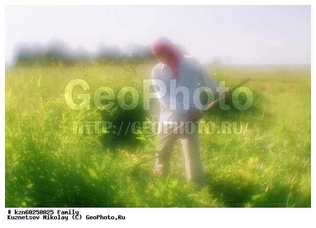 ��������, �������, ����, �����, ����, �������, ����, �����