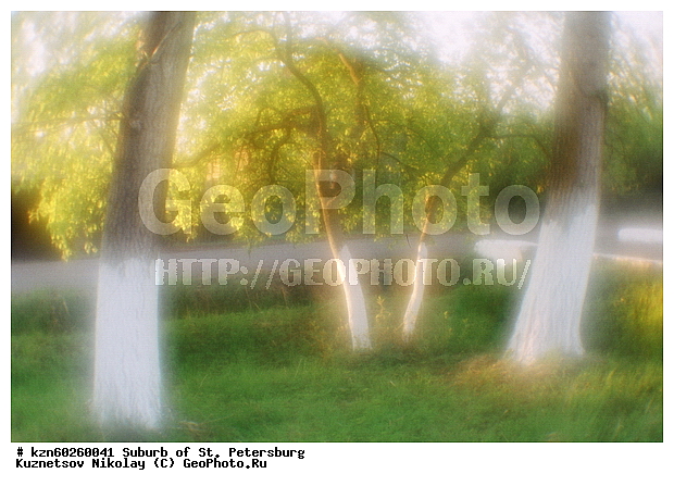 ���������, ������������� �������, �����-���������, ��������, ������� ����, ������, ����, ����