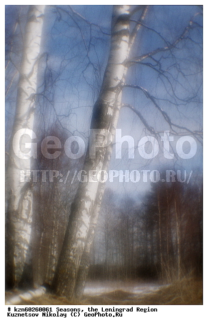 ����� ����, ������������� �������, ��������, ������, �����, ���, ����