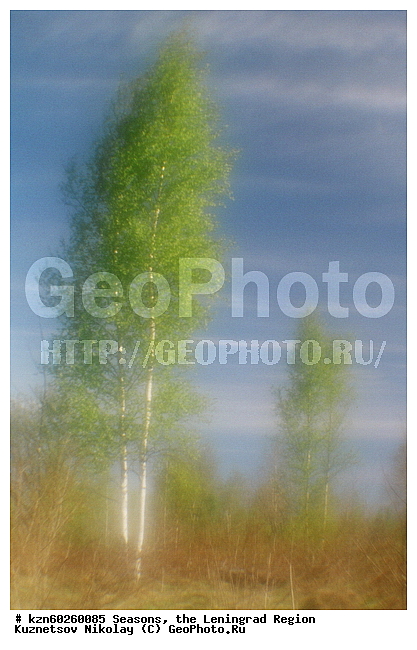 ����� ����, ������������� �������, ��������, ������, ���, ����, ����