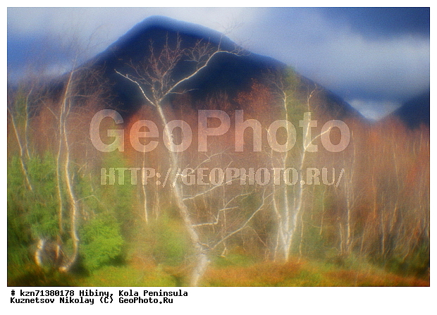 �������� ����������, �����, ������, ��������, ����, ����