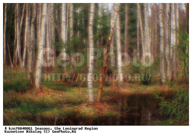 ������������� �������, ��������, ������, ����, ����� ����, ���, ���������, ����