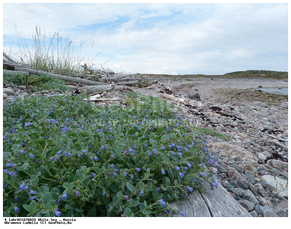 ����� ����, ���������, �������, ������, ��������� ���, ������ ��������, �����, ��������,  ���������� ��������, ������, �����, ������������ ��������, ����