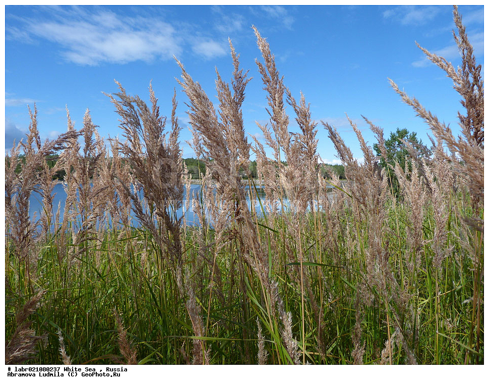 ����� ����, ���������, �������, ������, ��������� ���, ������ ��������, �����, ��������,  ���������� ��������, ������, �����, ������������ ��������, ����