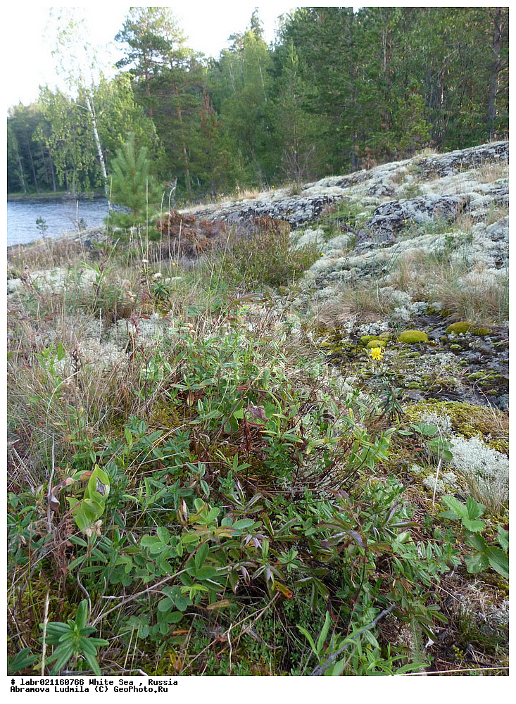 ����� ����, ���������, �������, ������, ��������� ���, ������ ��������, �����, ��������,  ���������� ��������, ������, �����, ������������ ��������, ����