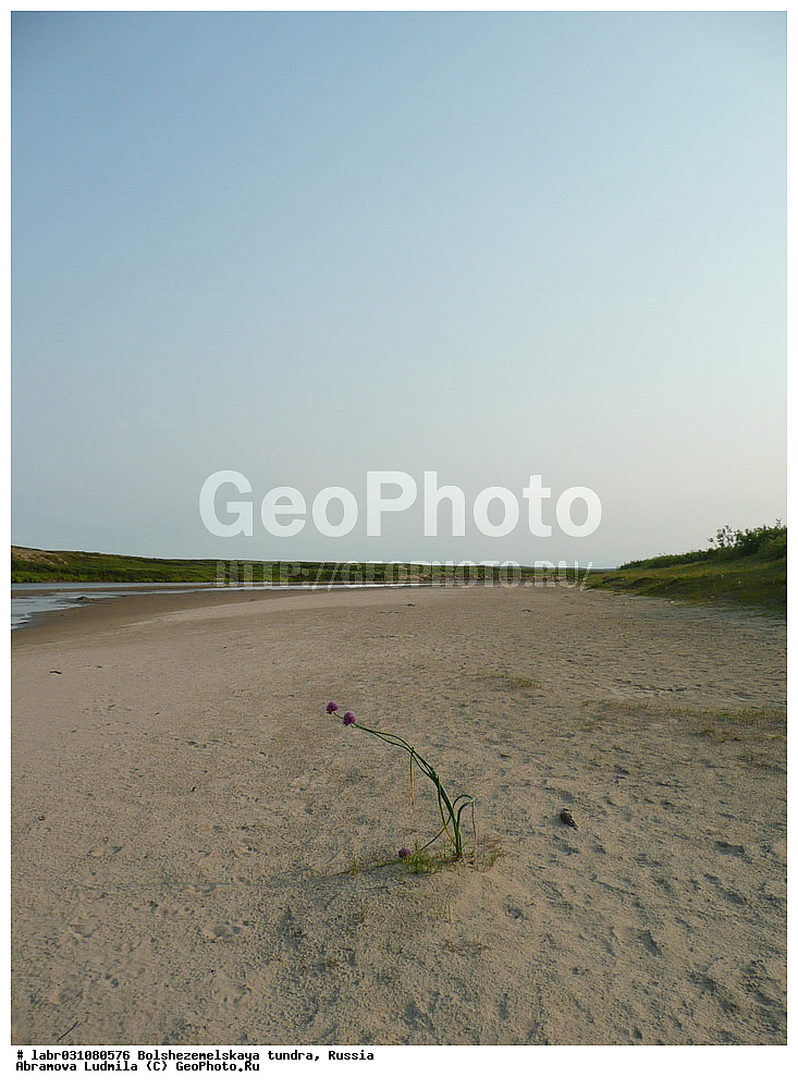 �������, ������, ������ ��������, �����, ��������,  ���������� ��������, ������, �����, ������������ ��������