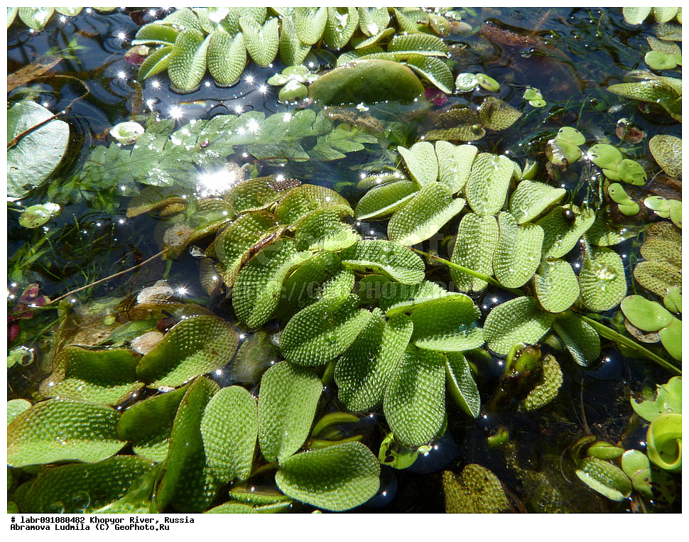 ����, �����, ������ ��������, �����, ��������,  ���������� ��������, ������, �����, ������������ ��������