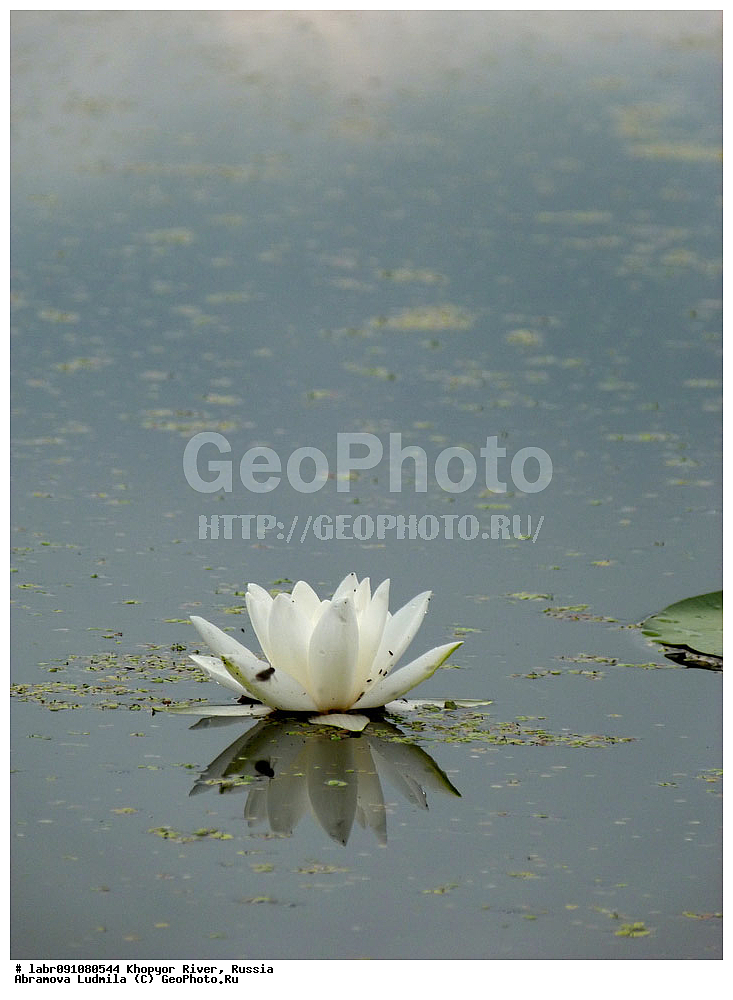 ����, �����, ������ ��������, �����, ��������,  ���������� ��������, ������, �����, ������������ ��������