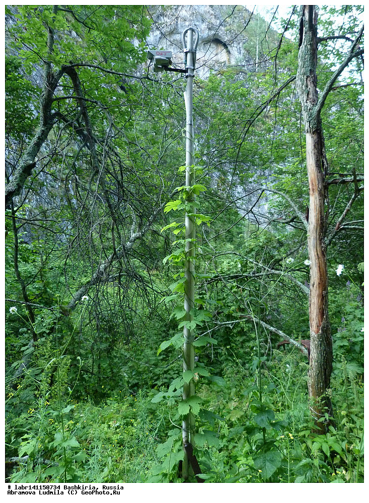 ����� ����, ���������� ������������, ��������, ������ ��������, �����, ��������,  ���������� ��������, ������, �����, ������������ ��������