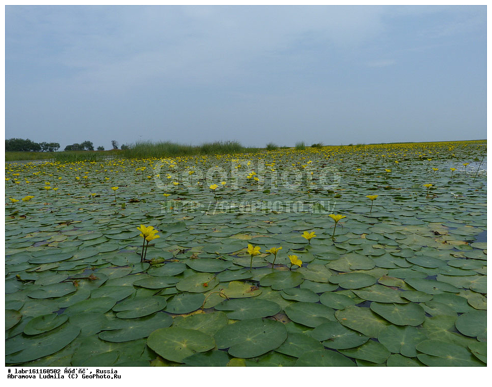 �������, ���������� �������, �������� ���������, ����������� ��������� ���������� ����������, ������ ��������, �����, ��������,  ���������� ��������, ������, �����, ������������ ��������