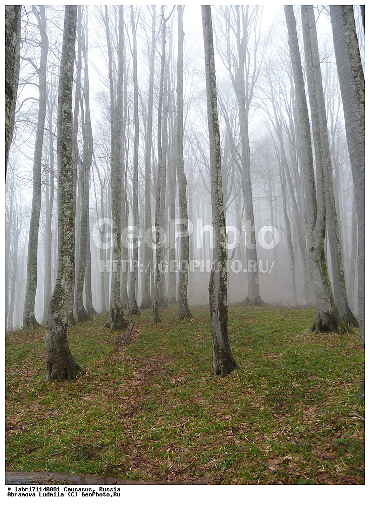 ������, ������ ��������, �����, ��������,  ���������� ��������, ������, �����, ������������ ��������