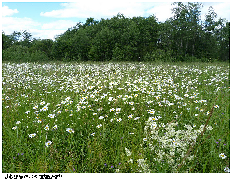 �������� �������, �������, ������ ��������, �����, ��������,  ���������� ��������, ������, �����, ������������ ��������