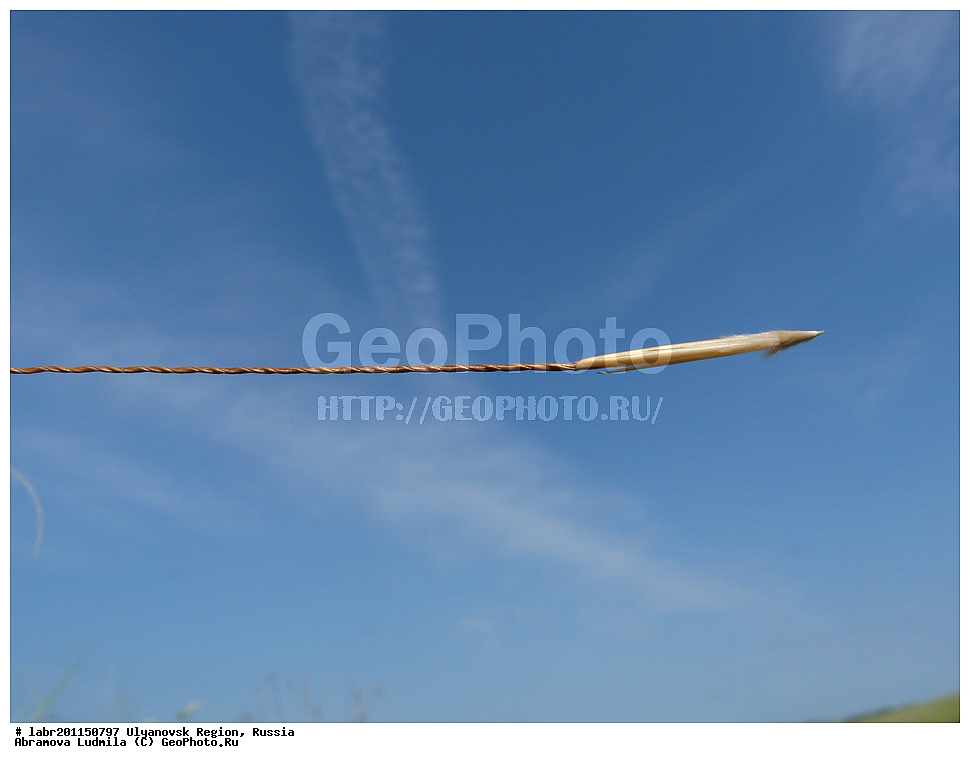 ����������� �������, ������ ��������, �����, ��������,  ���������� ��������, ������, �����, ������������ ��������