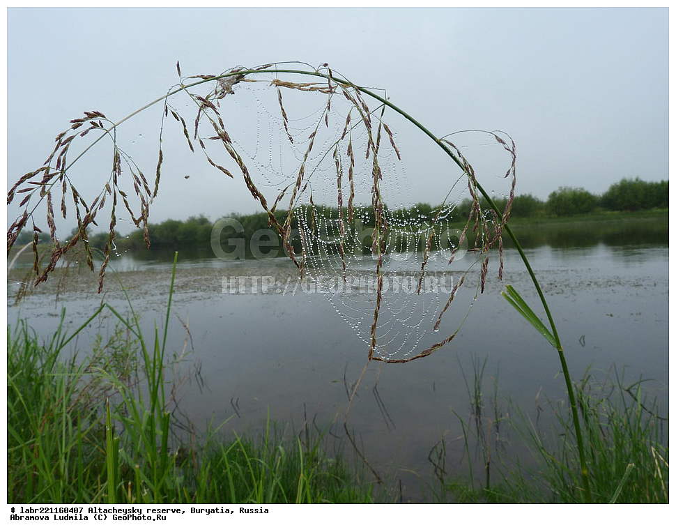 �������, ���������� �������, ����������� ��������, ����������� ��������� ���������� ����������