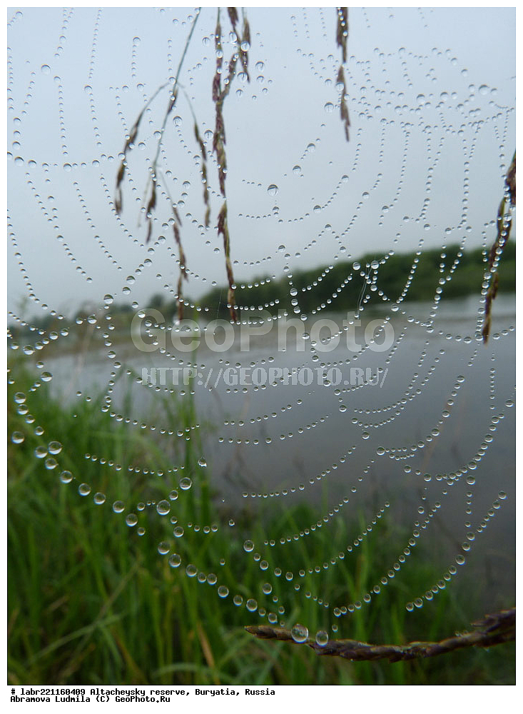 �������, ���������� �������, ����������� ��������, ����������� ��������� ���������� ����������