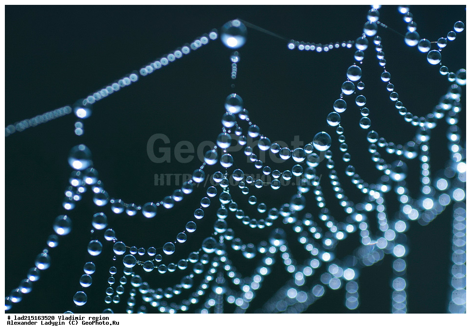  ������, ������������ �������, ����, �����, ����, ����, ����, �������������, ����, �������