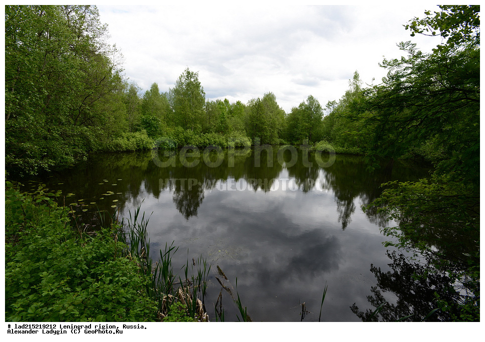  ����, ���������� ����, �������� �������, ������������� �������, ����, ������,  