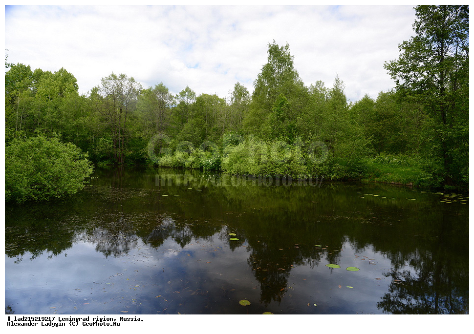  ����, ���������� ����, �������� �������, ������������� �������, ����, ������,  